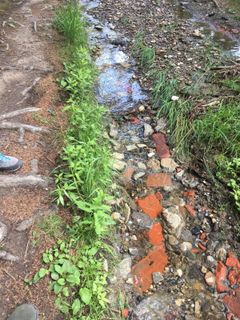 Photo de A le long du parcours