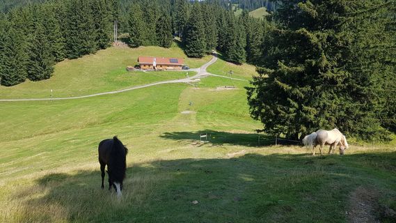 Photo de Harald le long du parcours