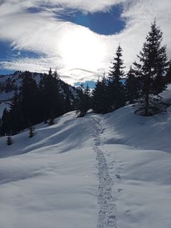 Foto von Bergguru entlang der Tour