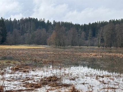 Foto von Norbert Herbig entlang der Tour