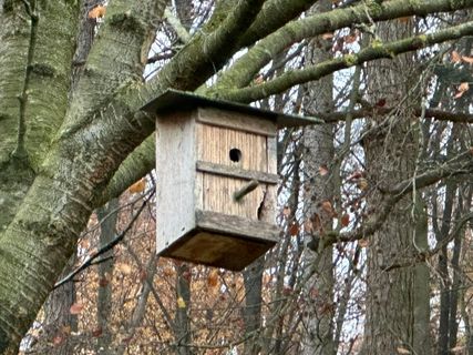 Fotografia z Norbert Herbig na trase