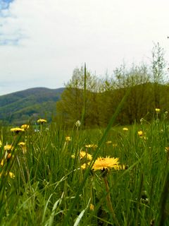 Fotografie z Kellner Heidi na trase