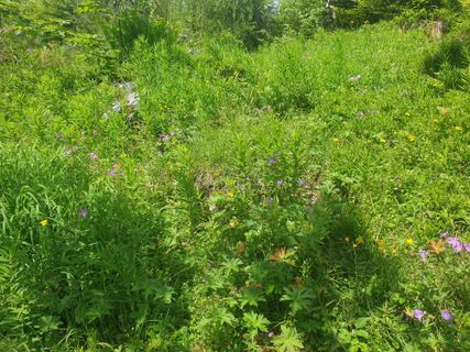 Foto von GAdamec entlang der Tour