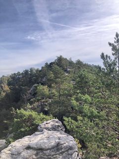 Foto de Jutta Loesenbeck a lo largo del recorrido