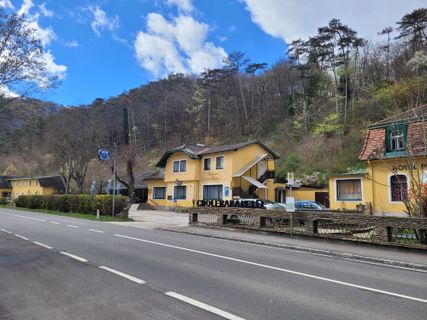 Photo de mmecki le long du parcours