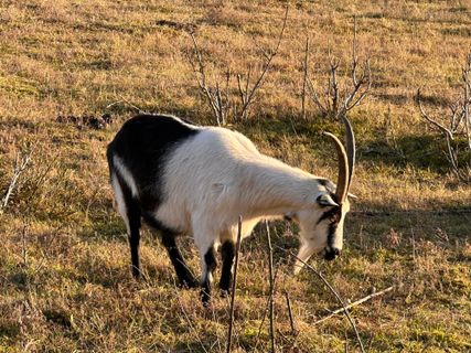 Fotografie z Norbert Herbig na trase