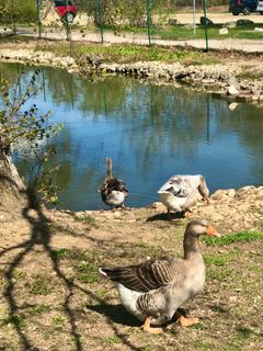 Fotografie z Kellner Heidi na trase