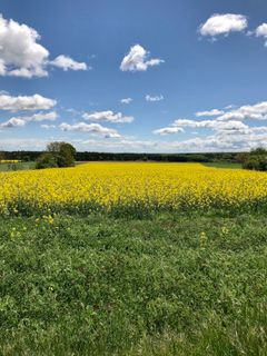 Foto von Kellner Heidi entlang der Tour