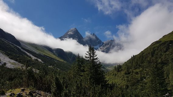 Foto von Tor Fich entlang der Tour
