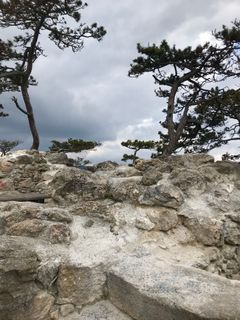Photo de Kellner Heidi le long du parcours