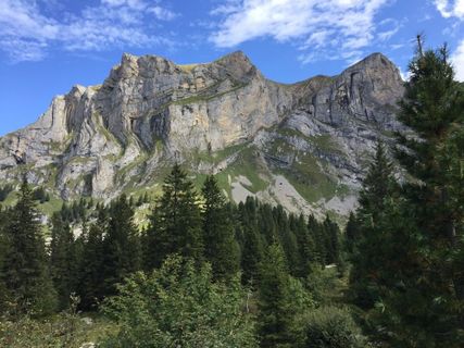 Photo de Monique Meyer le long du parcours