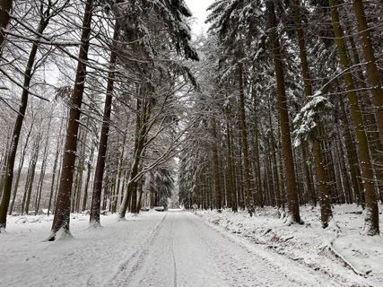 Foto von Norbert Herbig entlang der Tour