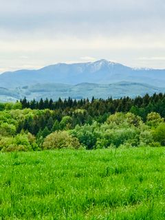 Foto von Kellner Heidi entlang der Tour