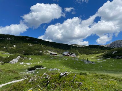 Fotografija s spletne strani Michael Bauer na poti