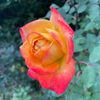 Fotografija s spletne strani Norbert Herbig na poti