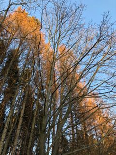 Foto de Barbara Schober a lo largo del recorrido