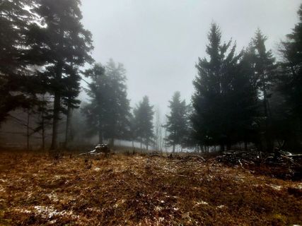 Foto von Antonietta Havasi entlang der Tour