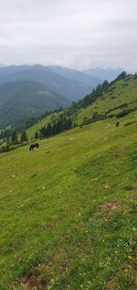 Foto von Tobias Koch 1 entlang der Tour