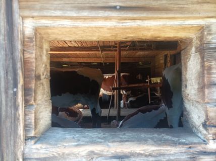 Foto von Peter Mittermayer 1 entlang der Tour