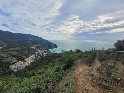 Photo de schenkeli le long du parcours