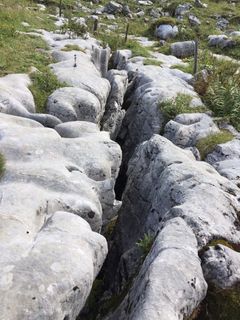 Photo de Monique Meyer le long du parcours