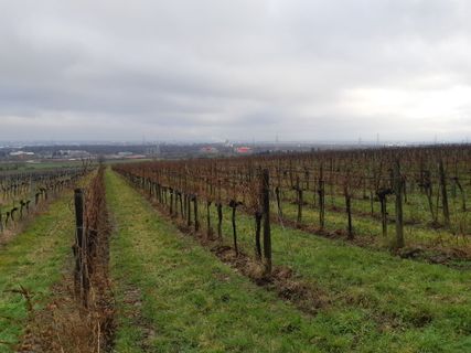 Foto von mmecki entlang der Tour