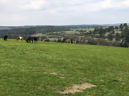 Foto von Thomas Gerhardt entlang der Tour