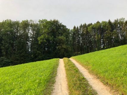 Zdjęcie z Andreas E. Neuhold wzdłuż trasy