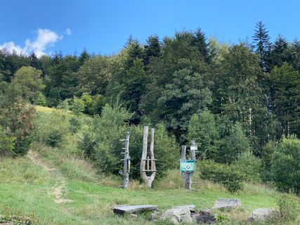 Zdjęcie z szymonek70 wzdłuż trasy