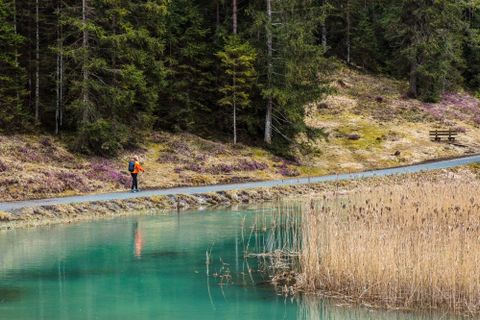 Photo de Jakob Vidler le long du parcours