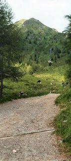 Foto von Gabriele Cucchi entlang der Tour