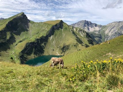Foto von Holger Koch entlang der Tour