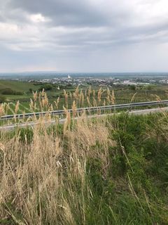 Foto von Kellner Heidi entlang der Tour
