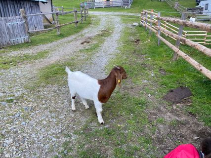 Photo de Fabio Infanti le long du parcours