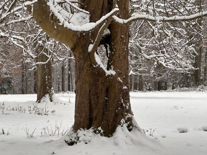 Foto von Norbert Herbig entlang der Tour