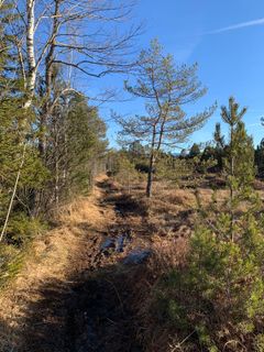 Photo de Kerstin Müller le long du parcours