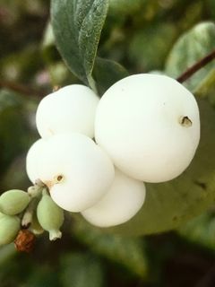 Fotografia z Kellner Heidi na trase