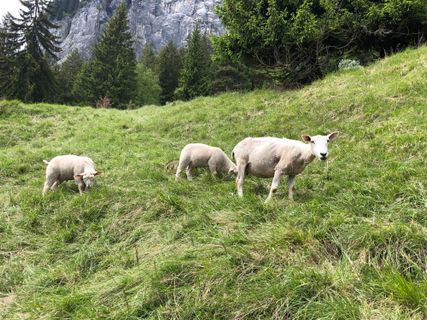 Fotografie z Martin Würsch na trase