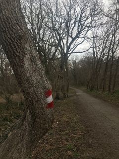 Foto von Kellner Heidi entlang der Tour