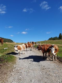 Foto von Walter Dienstl entlang der Tour