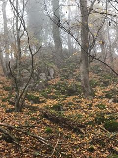 Fotografie z Kellner Heidi na trase