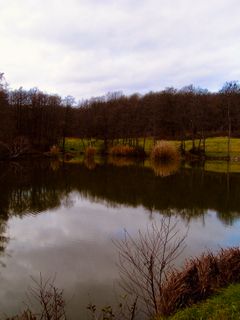 Fotografija s spletne strani Kellner Heidi na poti