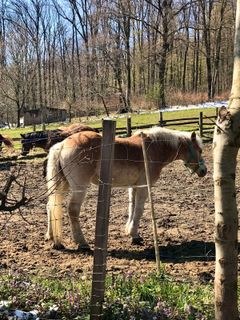 Foto von Kellner Heidi entlang der Tour