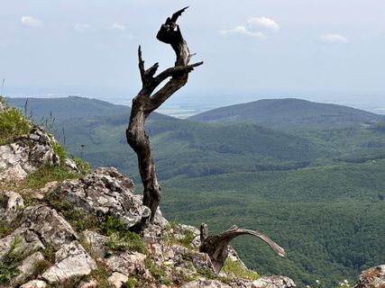 Foto von Norbert Herbig entlang der Tour