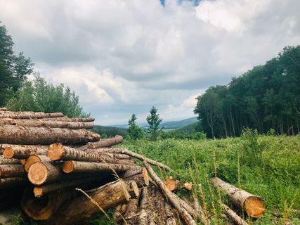 Foto von Kellner Heidi entlang der Tour