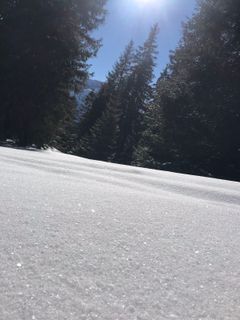 Fotografie z Heikoala na trase