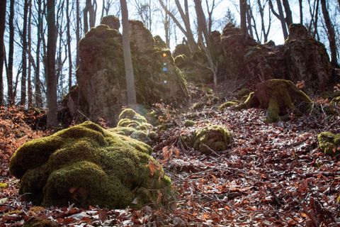Fotografie z Jakob Vidler na trase