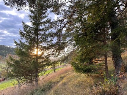 Foto de Norbert Herbig a lo largo del recorrido