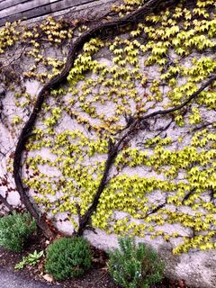 Fotografia z Kellner Heidi na trase