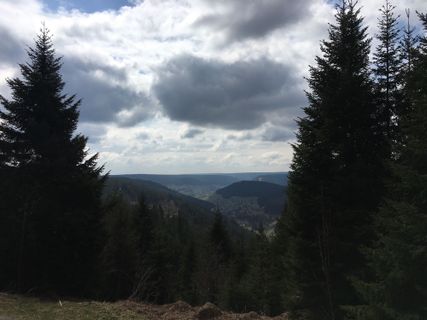 Fotografia z Ralf Umminger na trase